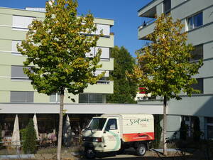 Restaurant Sinfonie Restaurant Sinfonie